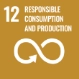 Responsible Consumption and Production
